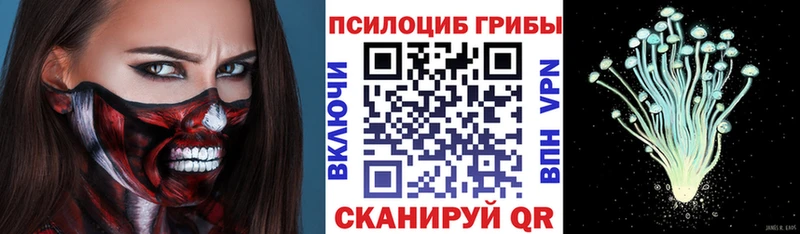 закладка  Серпухов  Псилоцибиновые грибы ЛСД 