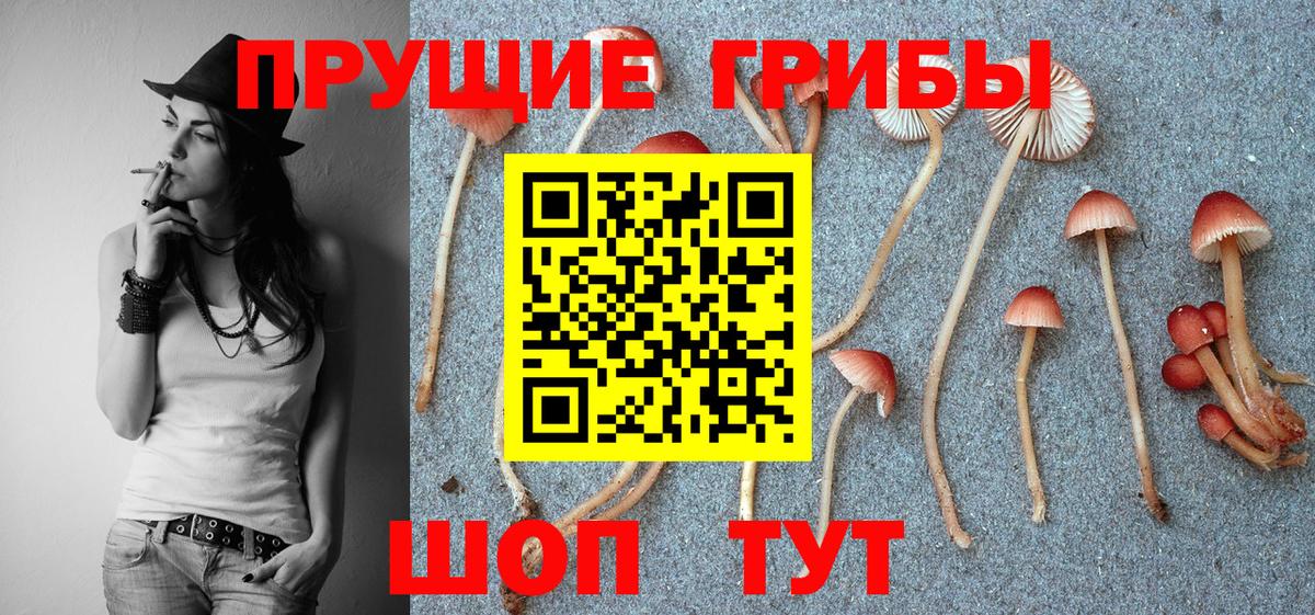даркнет сайт  Галлюциногенные грибы Psilocybine cubensis  Серпухов  Вход с VPN  Галлюциногенные грибы мицелий 