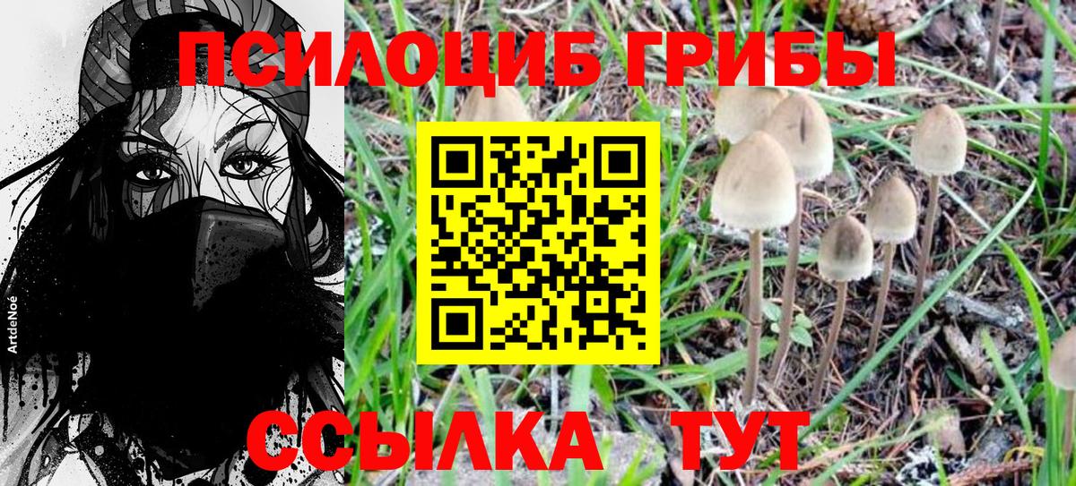 Галлюциногенные грибы MAGIC MUSHROOMS Серпухов